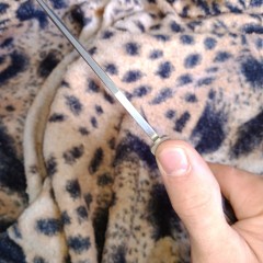 Нож COLD STEEL SPARTAN 21ST